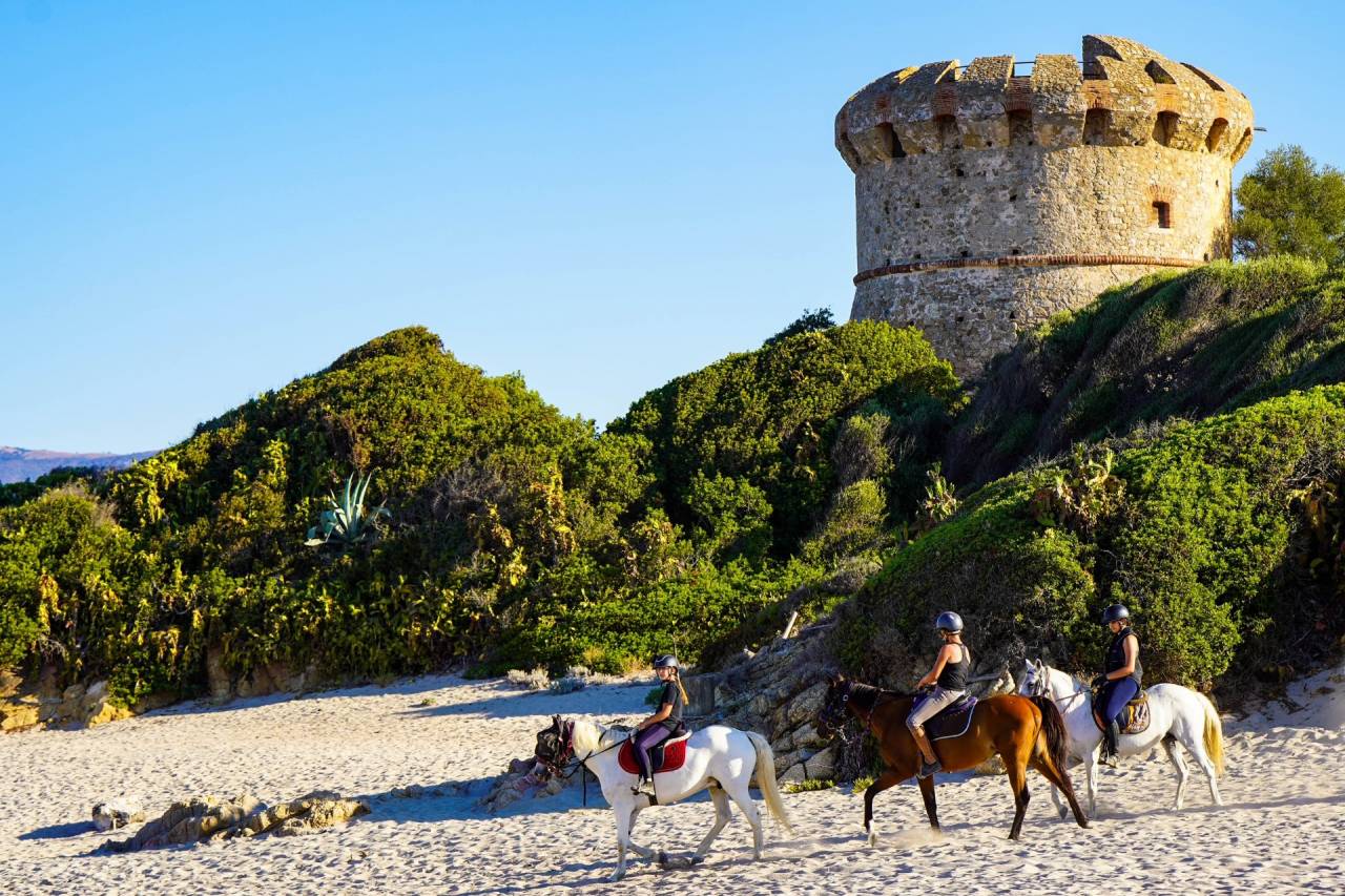 Moniteur d 'equitation