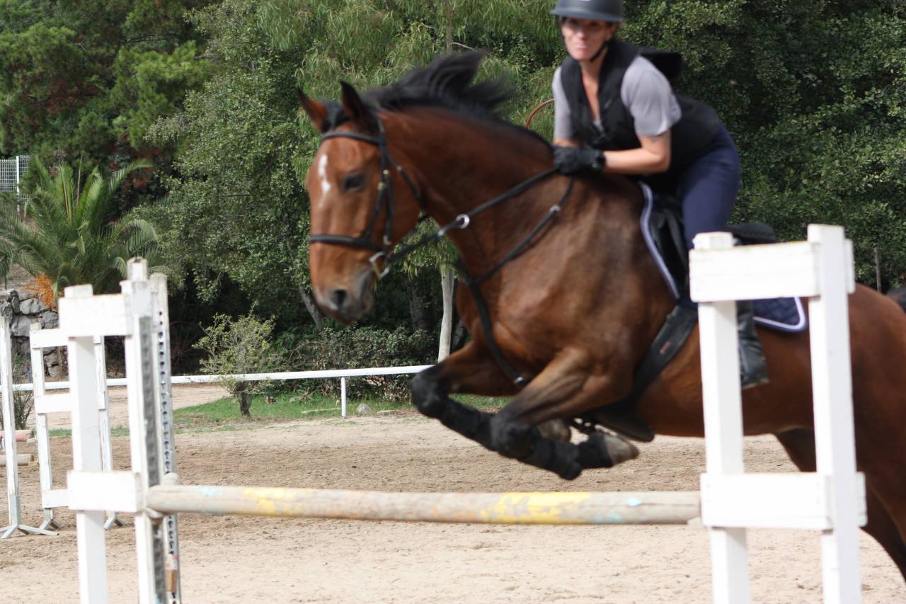 Moniteur d 'equitation