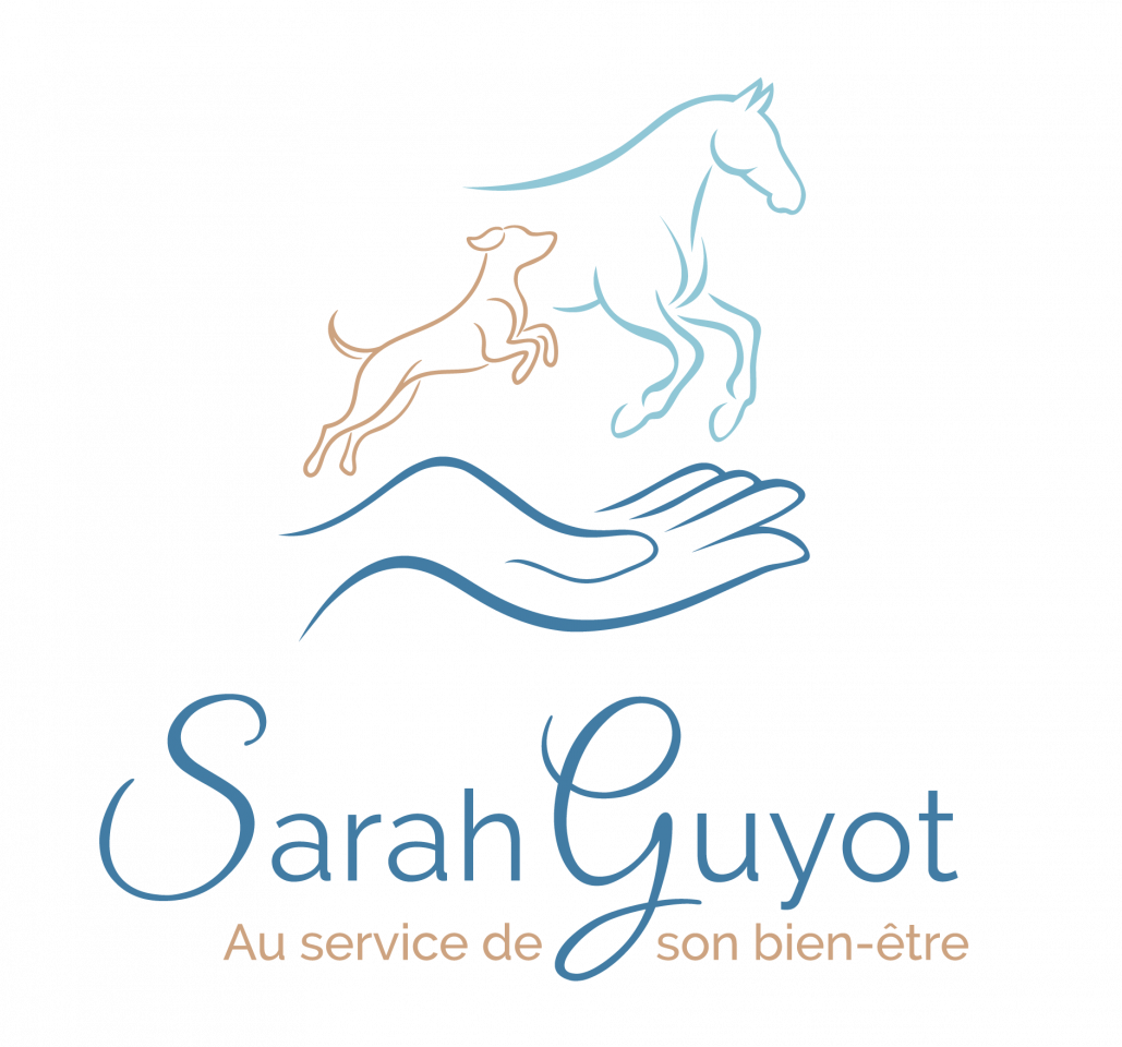 Masseuse &eacute;quin et canin- confort musculaire