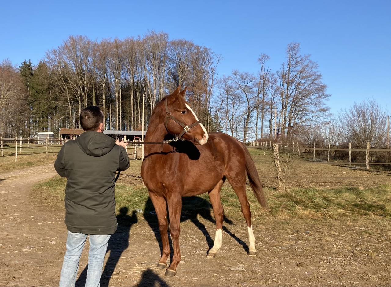 ORACLE COSMIC M&Acirc;LE AA 2 ANS