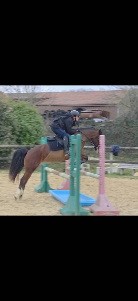 PONETTE PFS 7 ANS VOLONTAIRE, AFFECTUEUSE, AVEC DU SANG