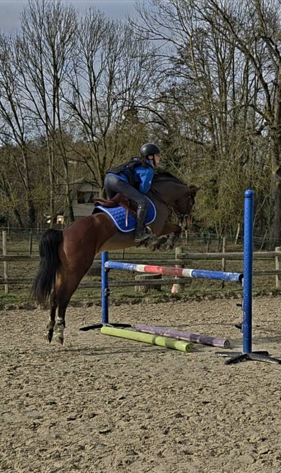 PONETTE PFS 7 ANS VOLONTAIRE, AFFECTUEUSE, AVEC DU SANG