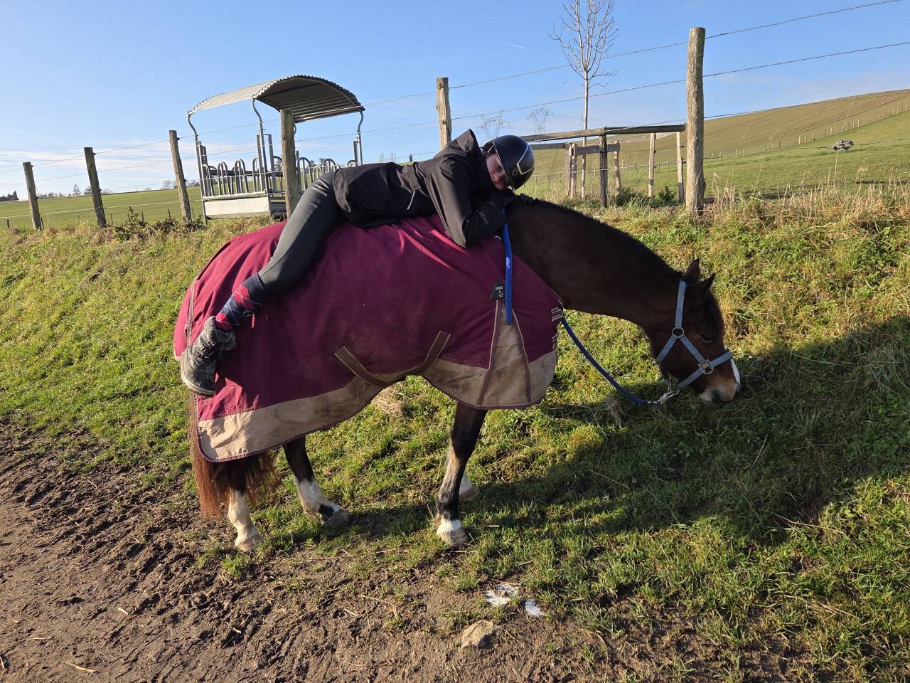 PONETTE PFS 7 ANS VOLONTAIRE, AFFECTUEUSE, AVEC DU SANG