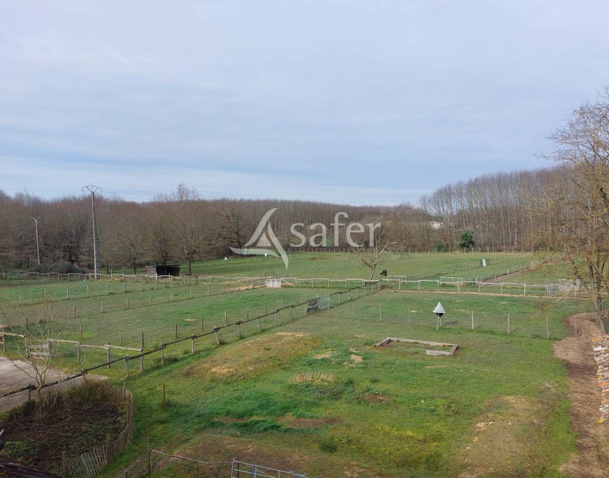 Propri&eacute;t&eacute; agricole bio sur 14ha de pr&eacute; et bois proche Montpon