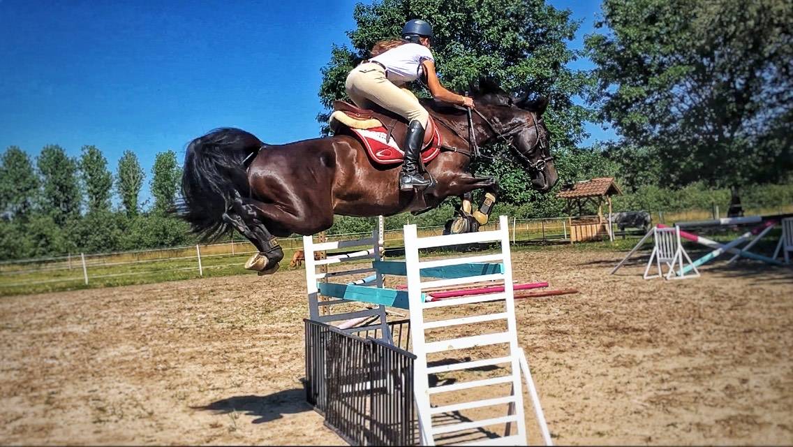 Demi-pension Heldine