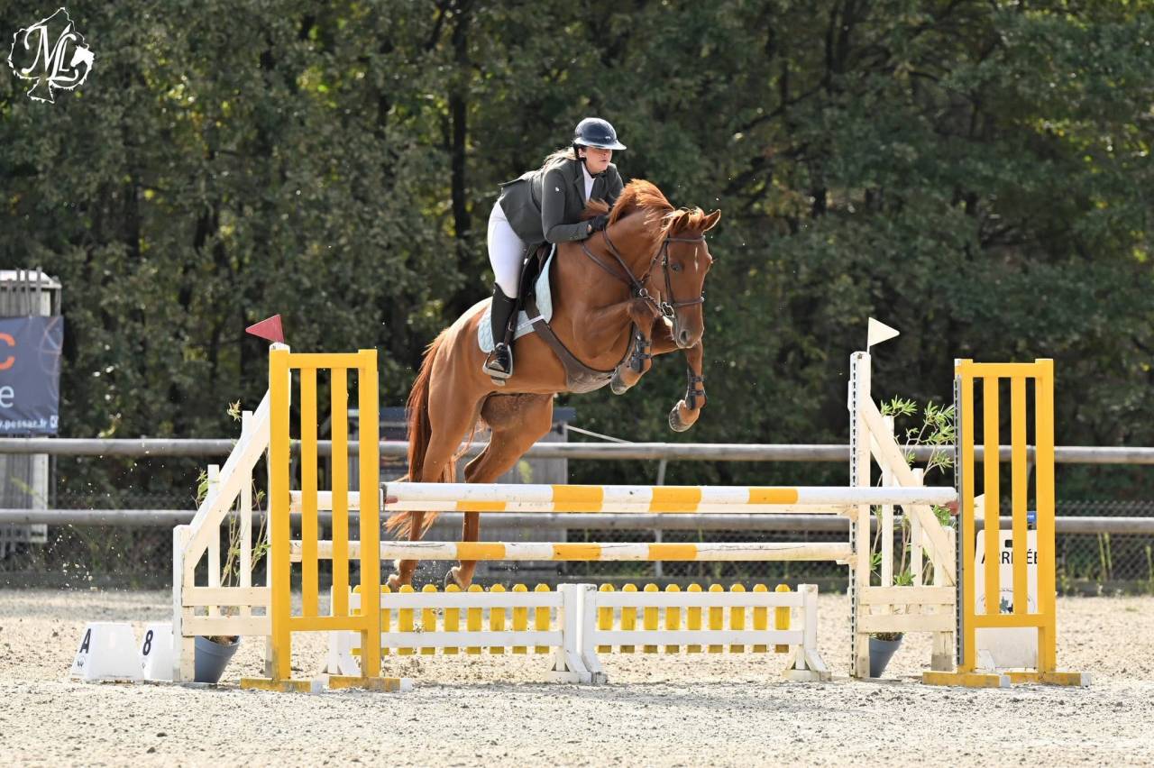 Hongre 7 ans gros moyens par Jarnac 