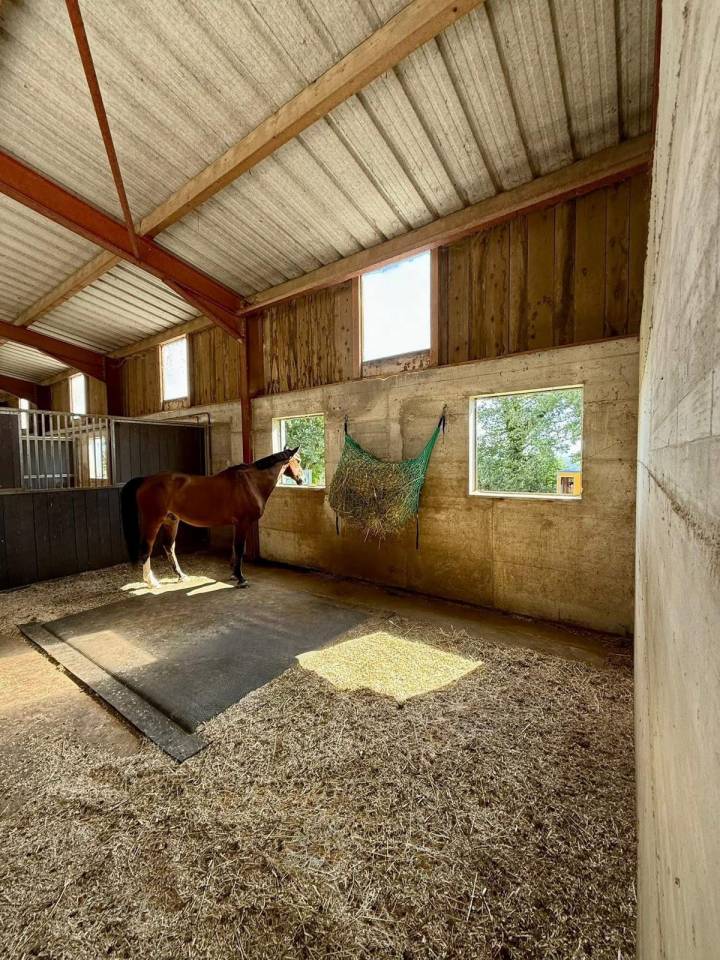 Palefrenier / Soigneur Petite Ecurie de Proprio