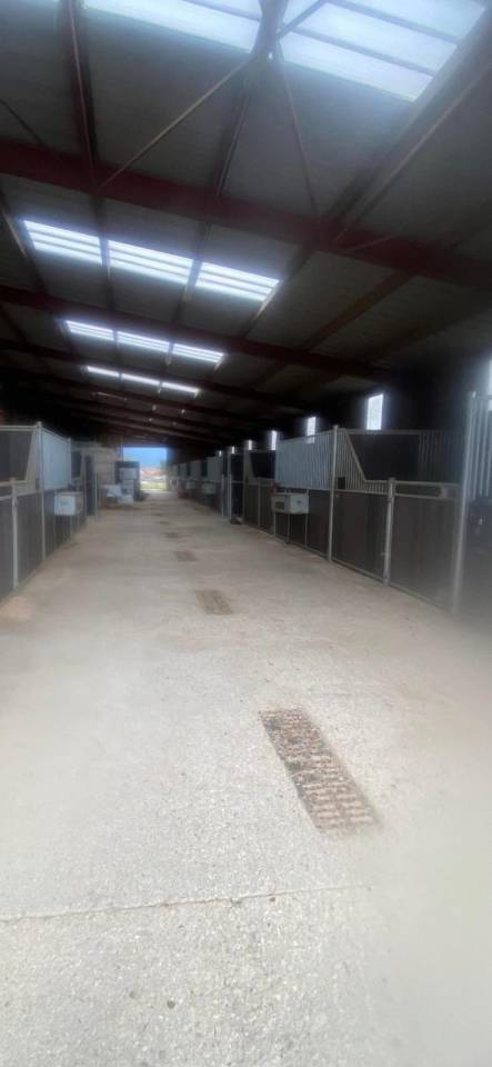 Palefrenier Mi-temps / Auto-entrepreneur