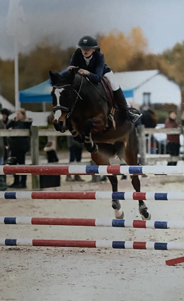 &Agrave; louer Akapella des iris 