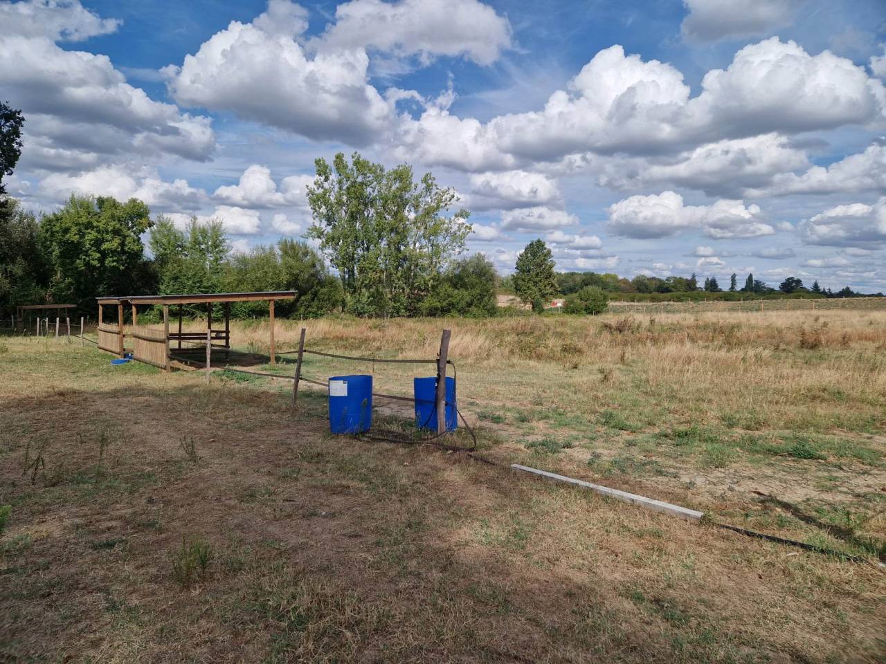 Pension Chevaux - Domaine Du Barrail - Brax