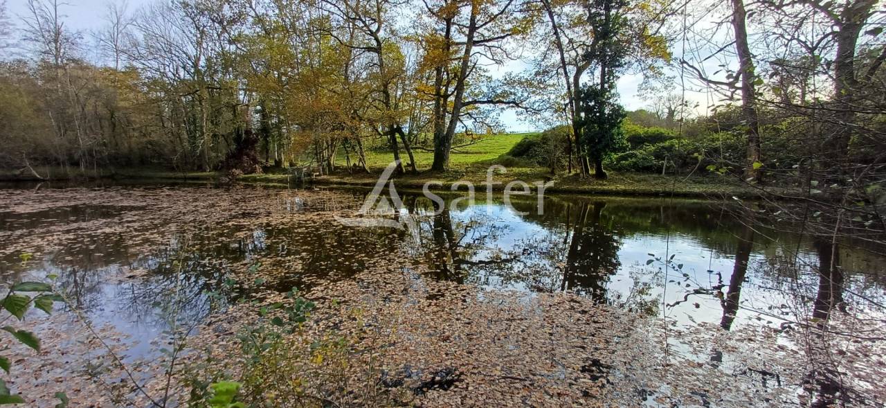 Etang, pr&eacute; et bois sur 2ha24 en P&eacute;rigord vert