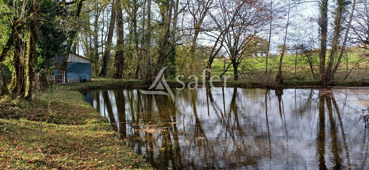 Etang, pr&eacute; et bois sur 2ha24 en P&eacute;rigord vert