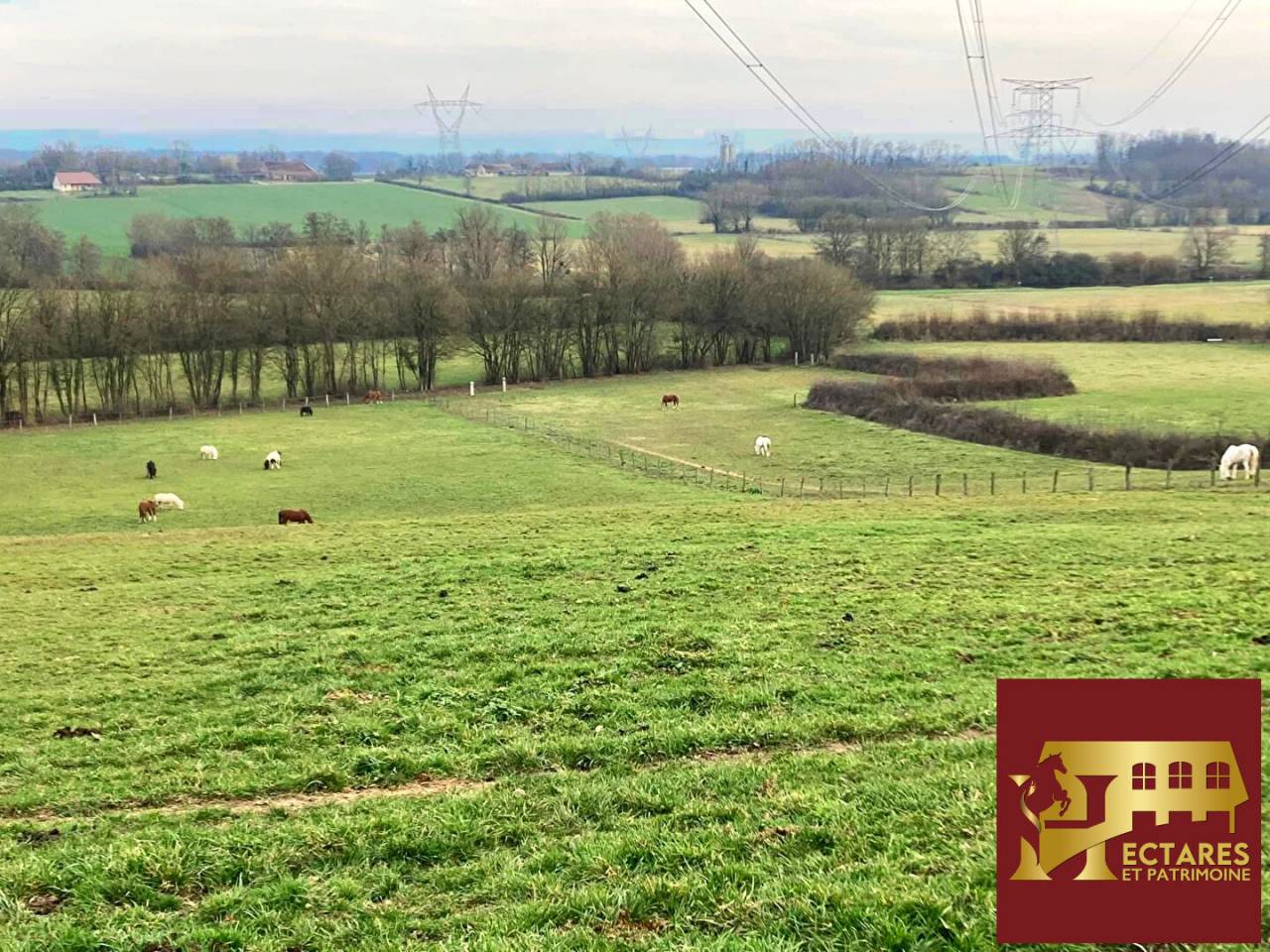 Structure compl&egrave;te 21 hectares attenants