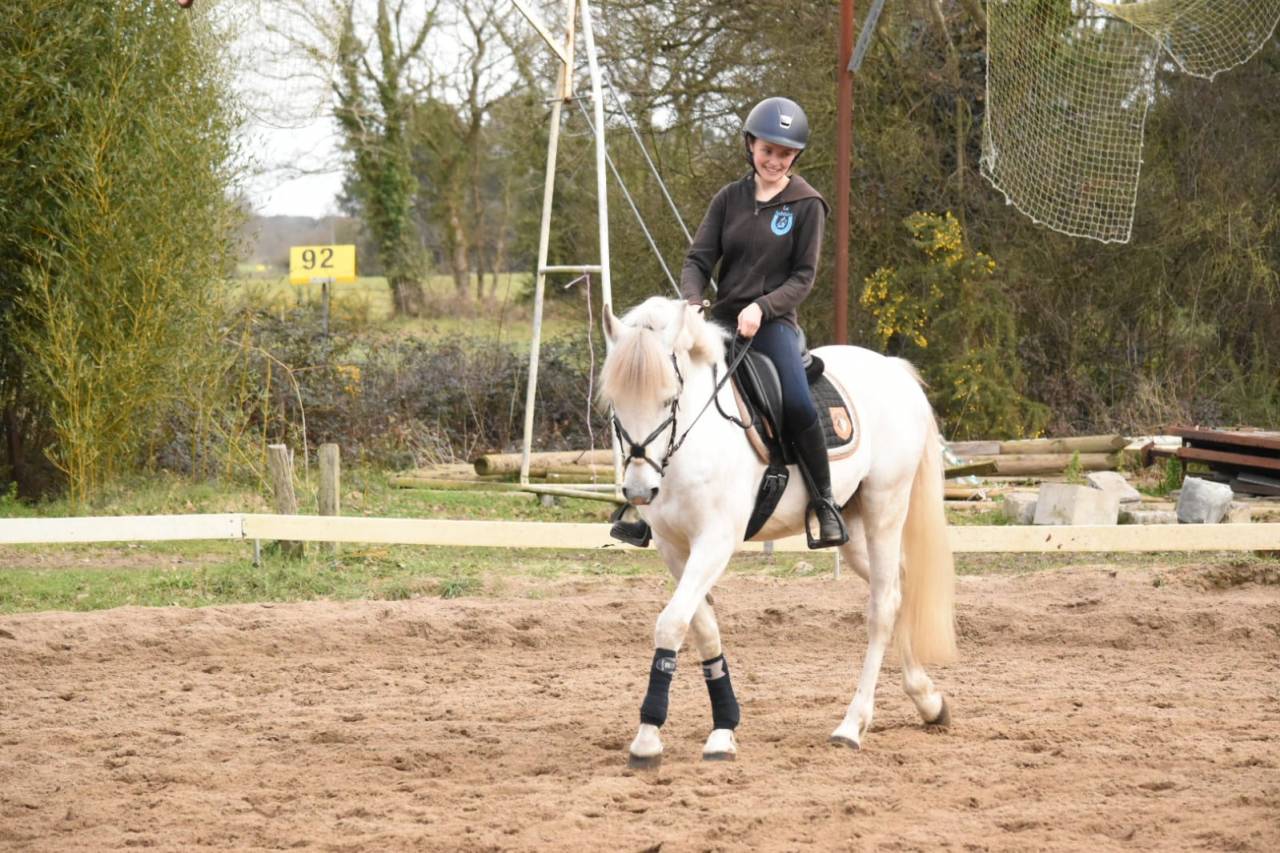 A vendre Cheval de loisir ONC