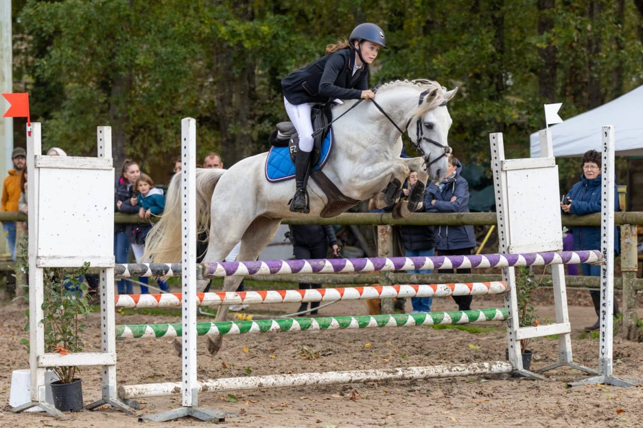 A vendre Cheval de loisir ONC