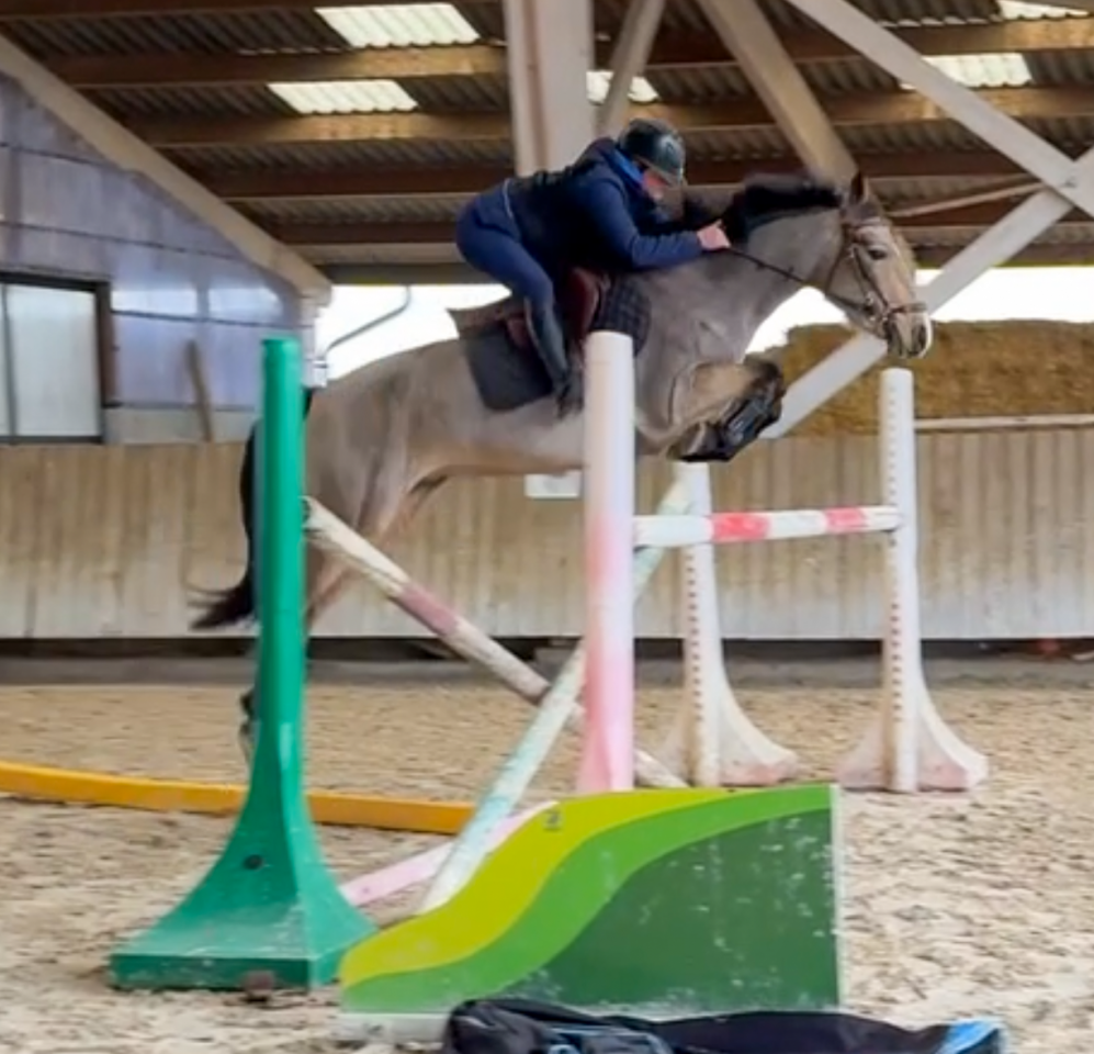 ✨ &Agrave; vendre &ndash; Ponette d&rsquo;avenir ✨