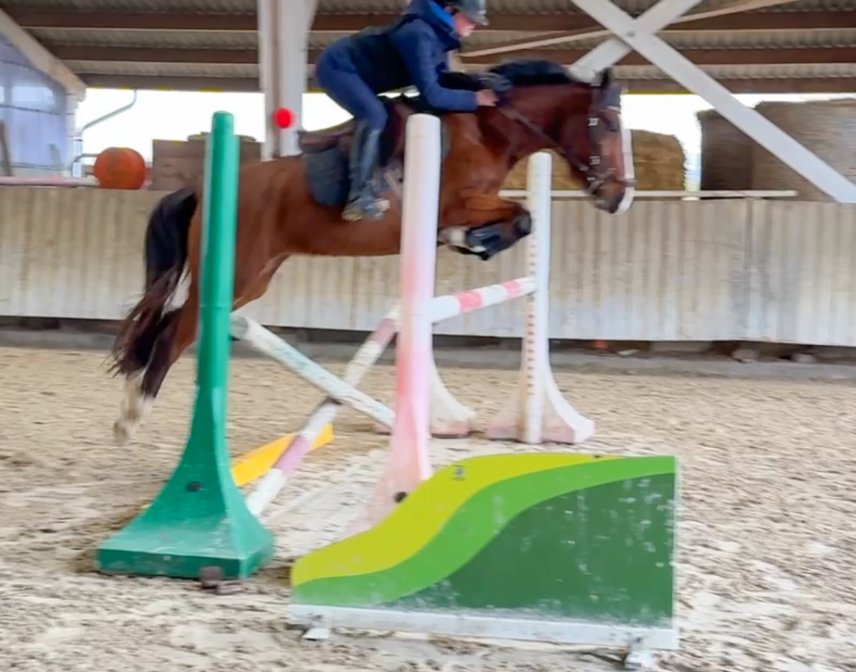 ✨ &Agrave; vendre &ndash; Ponette d&rsquo;avenir ✨