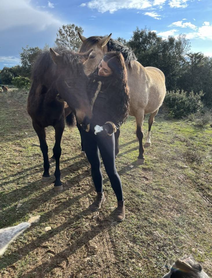 Pouliche PRE pp bai cerise 19 mois 