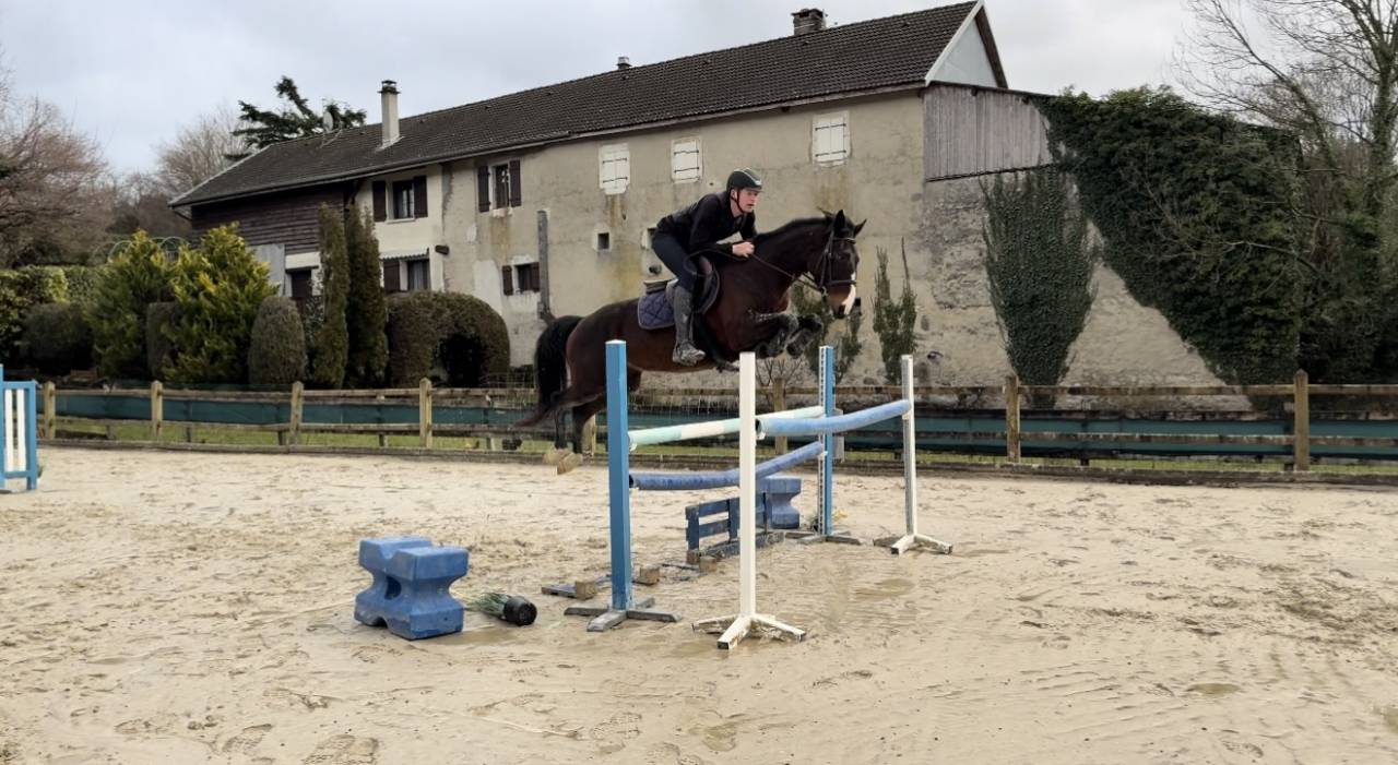 Super jument top amateur id&eacute;al transition poney cheval 