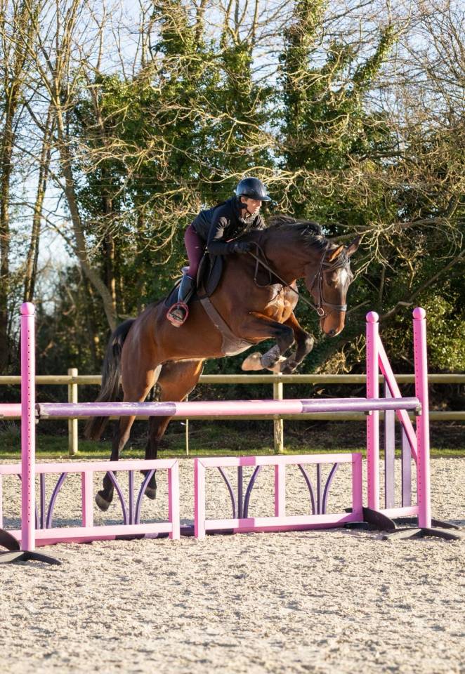 Jument baie 6 ans par EL BARONE 1M75