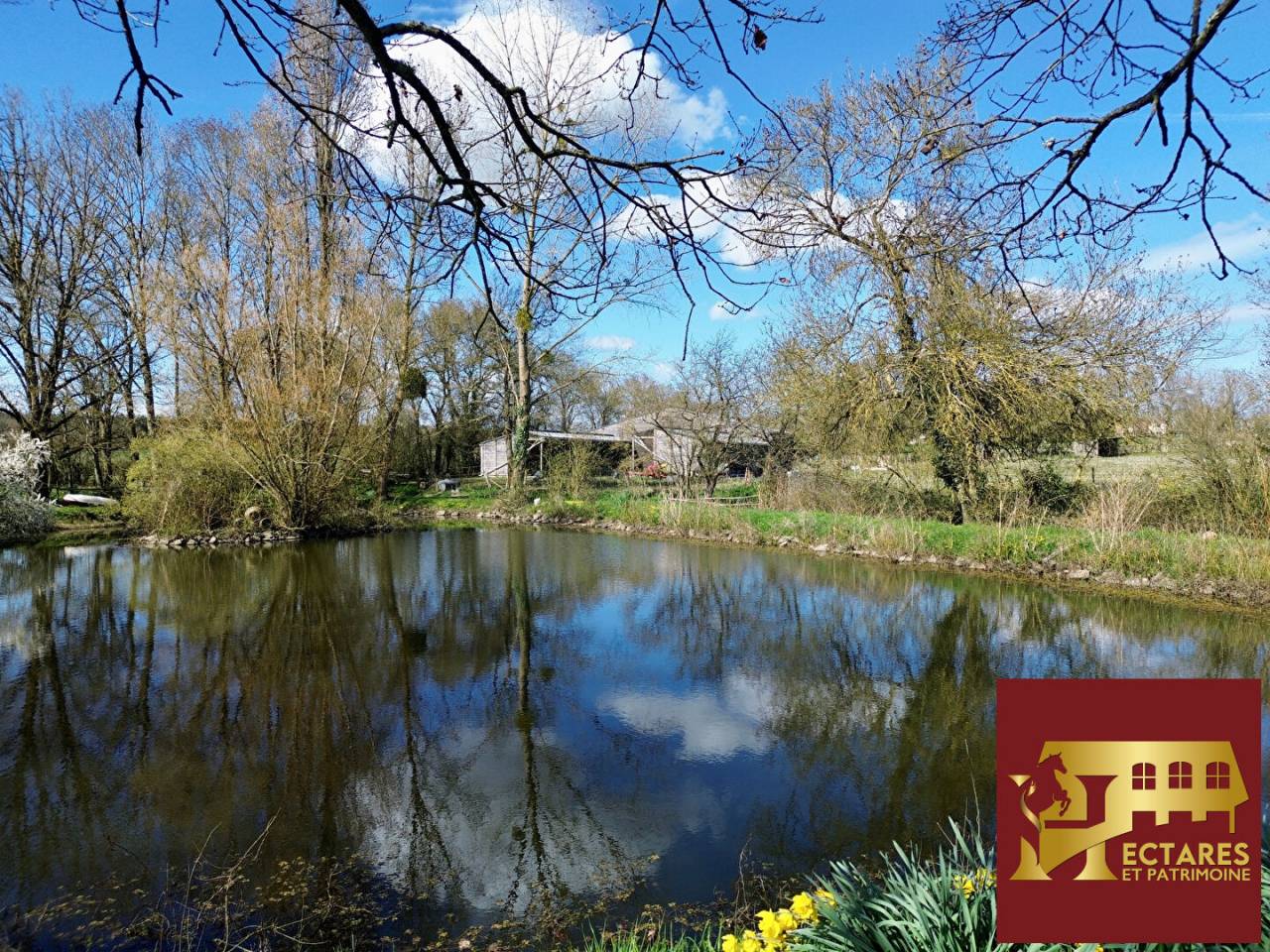 Maisons 7 pi&egrave;ce(s) 220 m2 g&icirc;tes 8 hectares.