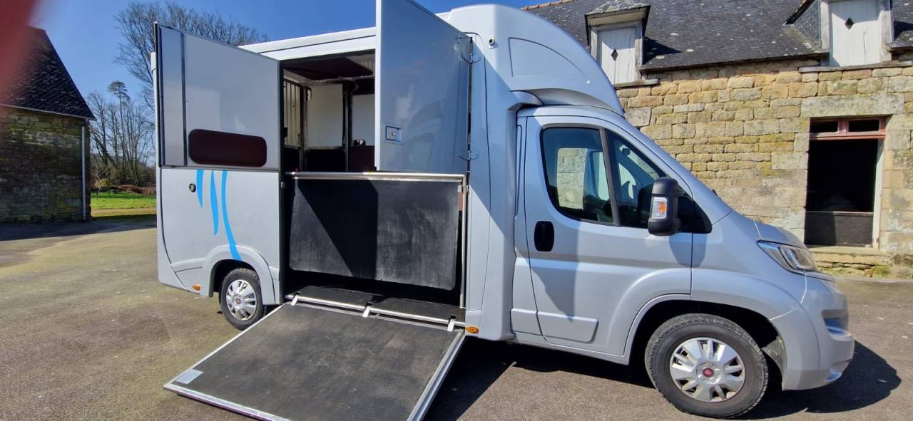 Camion chevaux Ducato ATM