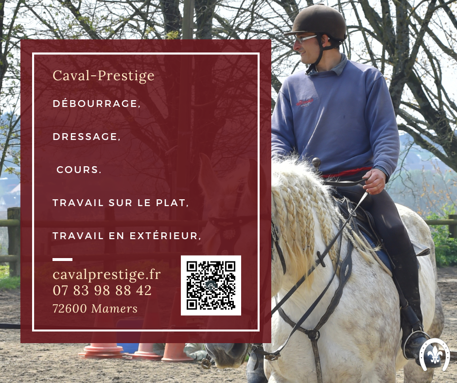 Prestataire de service &eacute;questre, d&eacute;bourrage, cours ,...