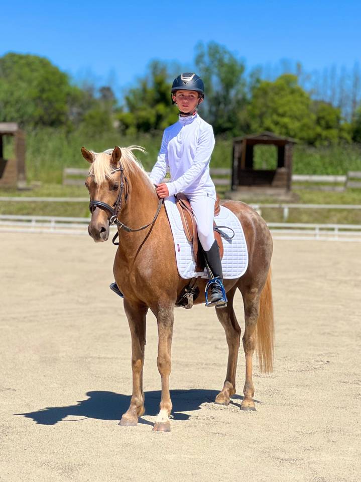 Ponette d'exception fille de Comso Callidus