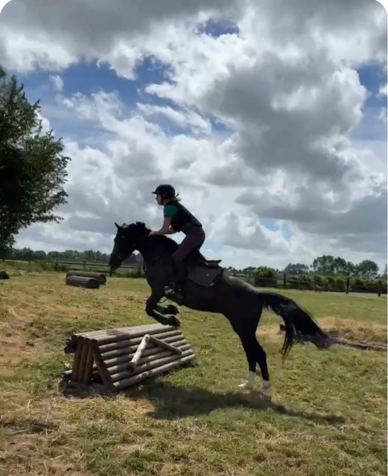 Ponette de sport