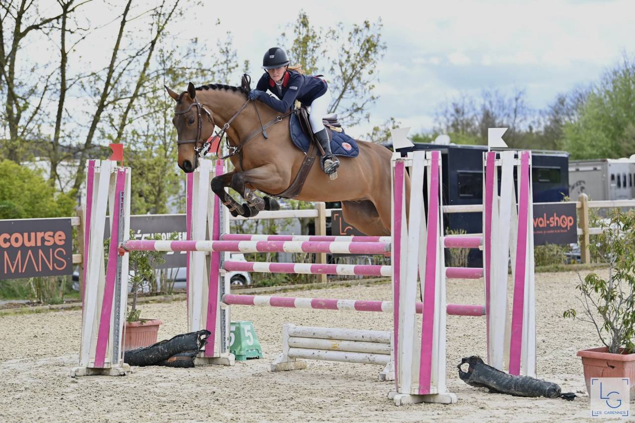 A vendre - hongre de 10 ans par tsunami du hus