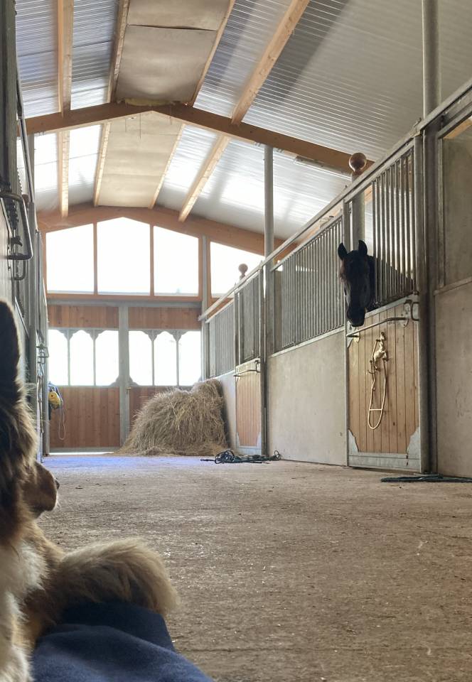 Pension pr&eacute; confort &ndash; 2 places disponibles 