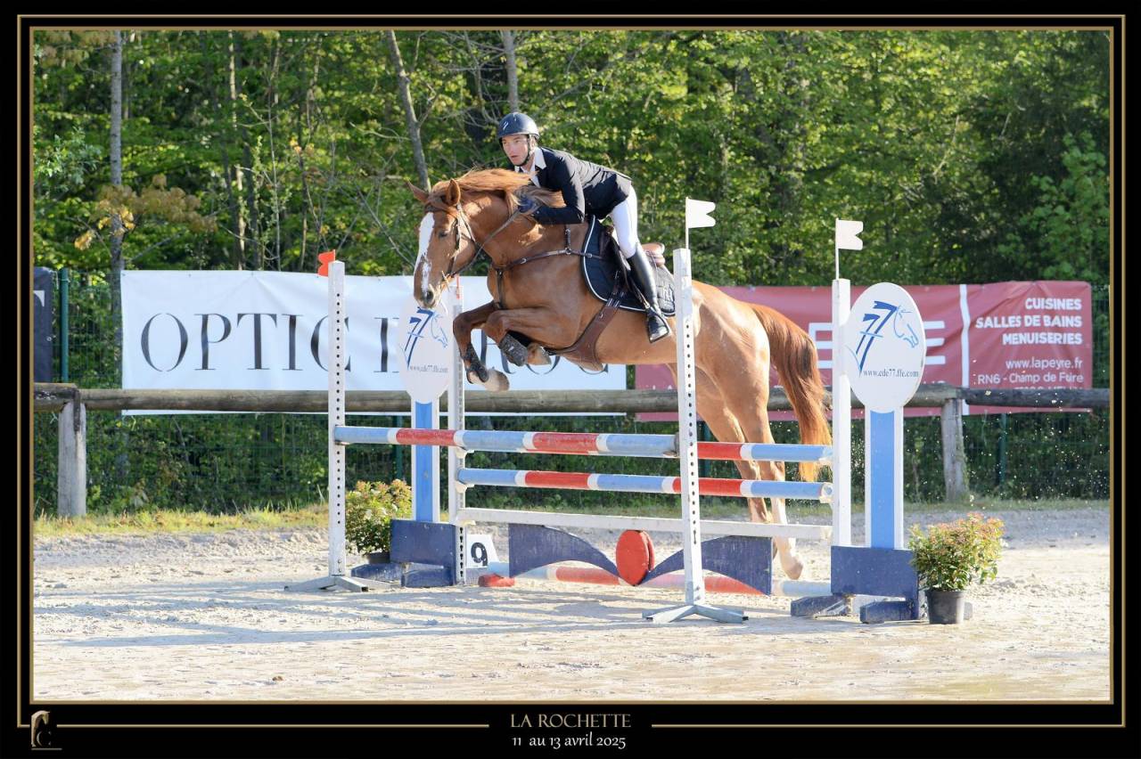 Jument pour loisir et CSO jusqu&rsquo;&agrave; amateur &eacute;lite 