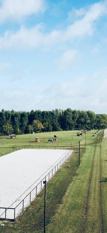 Pension box paddock pr&eacute; int&eacute;gral - 77 Seine et Marne