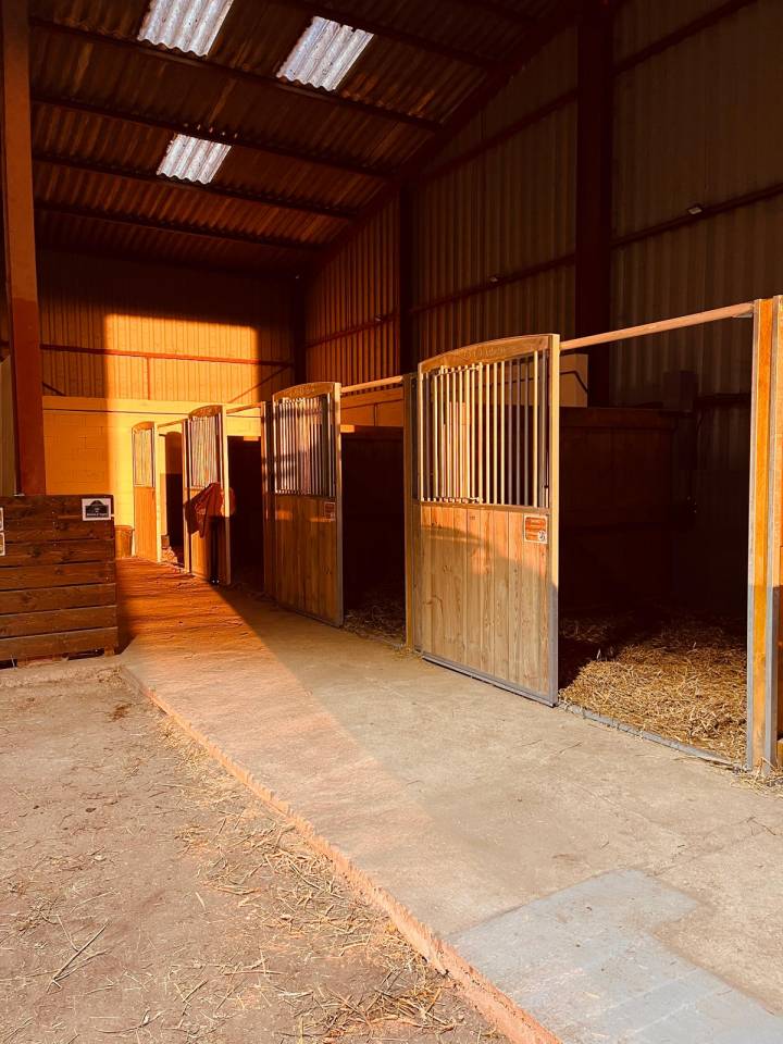 Pension box paddock pr&eacute; int&eacute;gral - 77 Seine et Marne