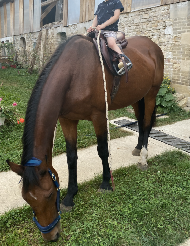 Poulini&egrave;re SF pleine