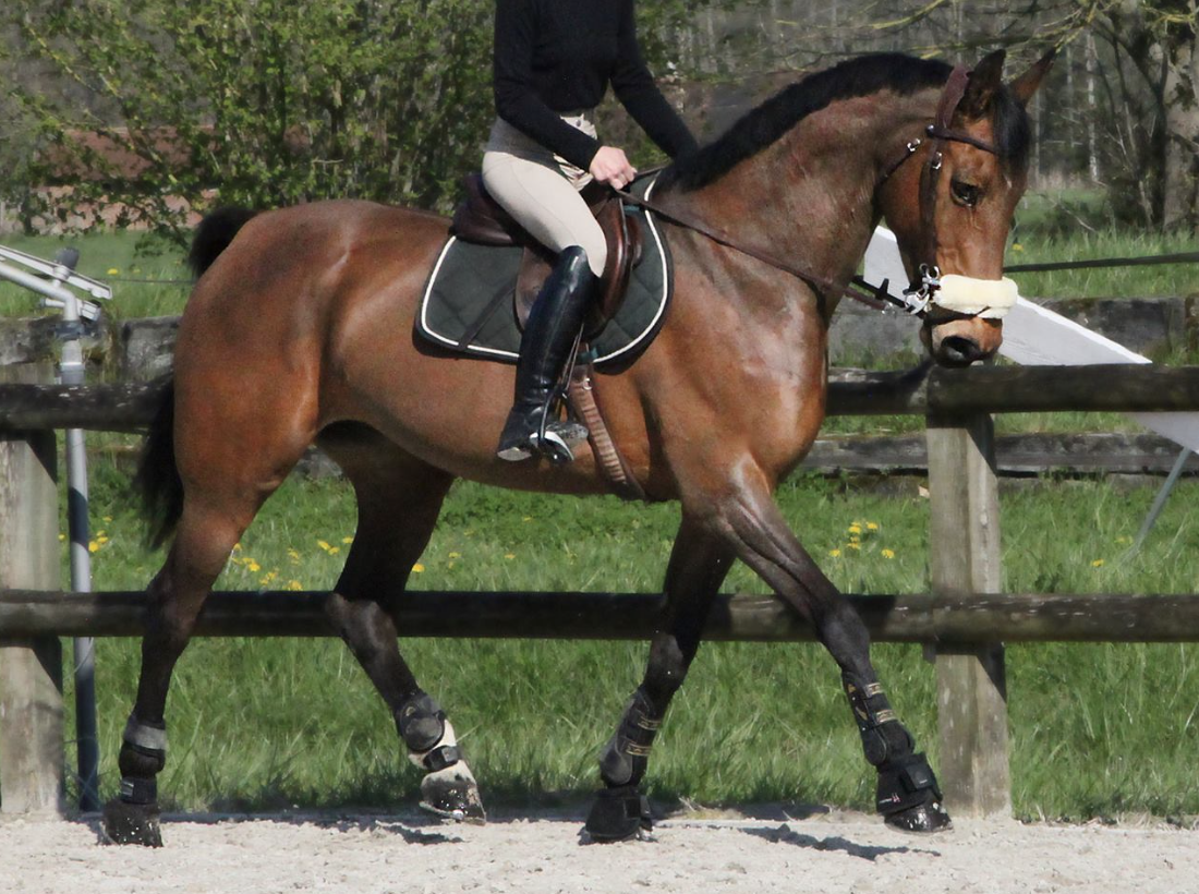 Poulini&egrave;re SF pleine