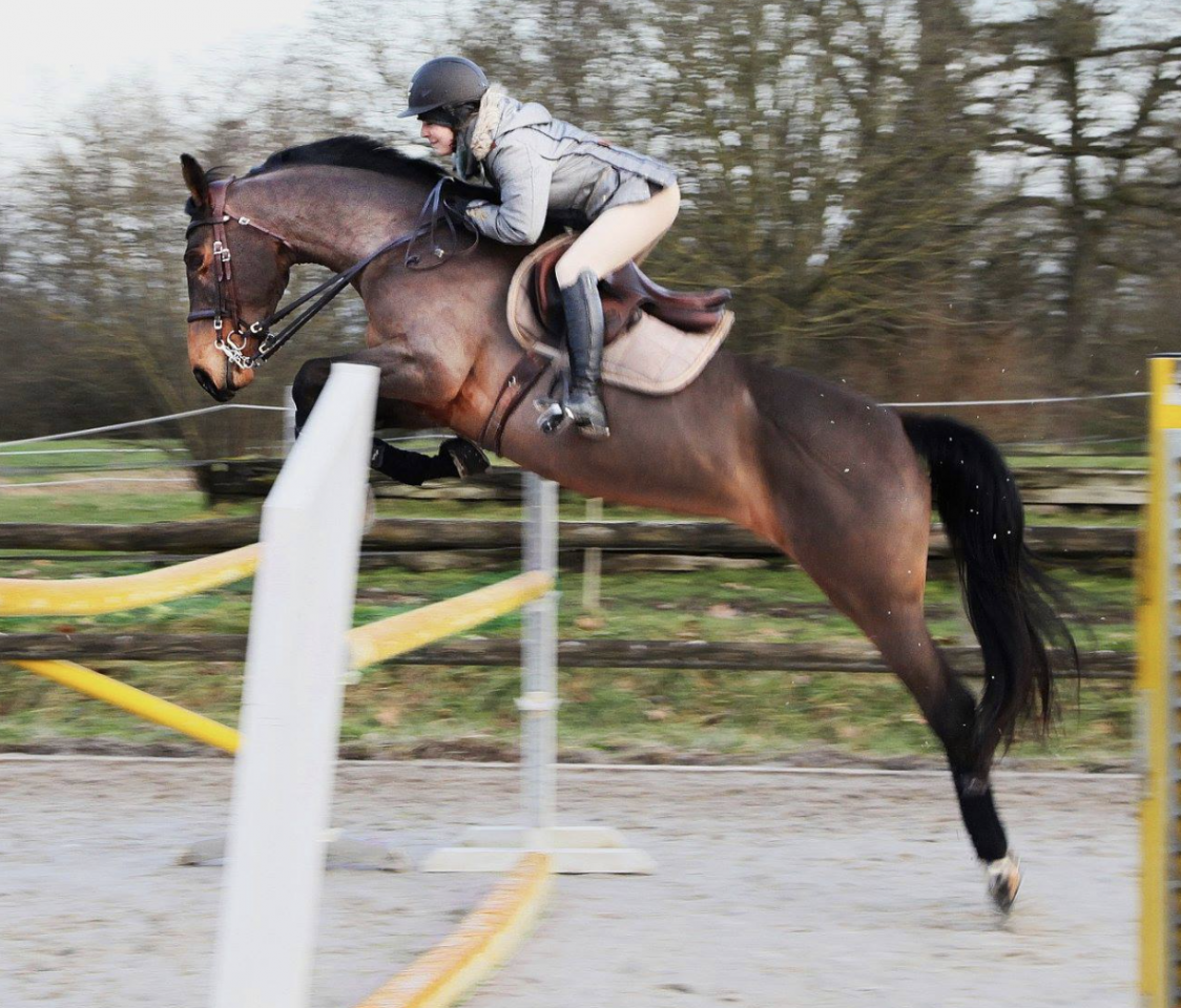 Poulini&egrave;re SF pleine