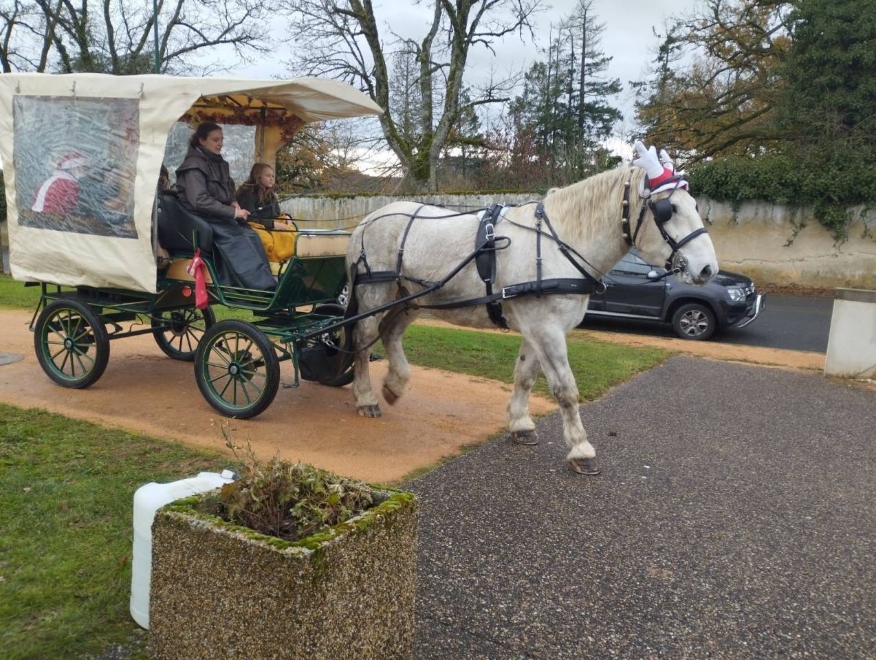 vends percheron PP blanc