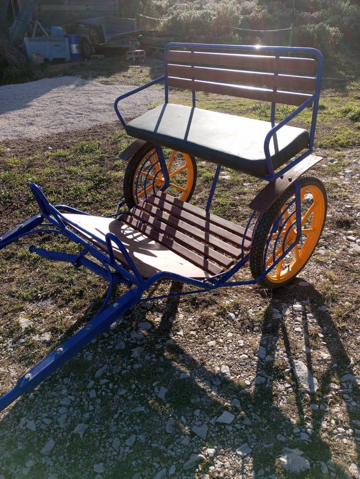 Cal&egrave;che sulky poney