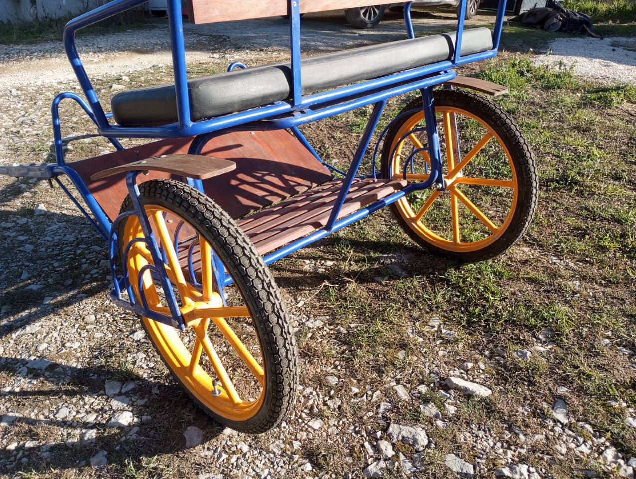 Cal&egrave;che sulky poney