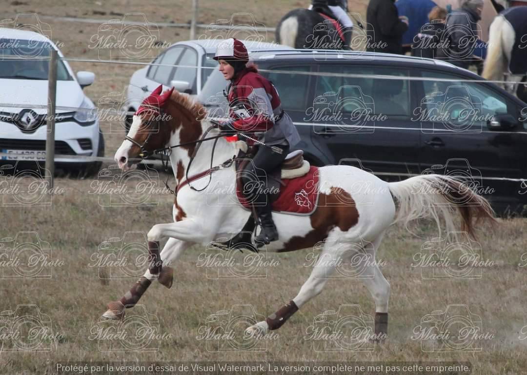 Ponette &agrave; louer 