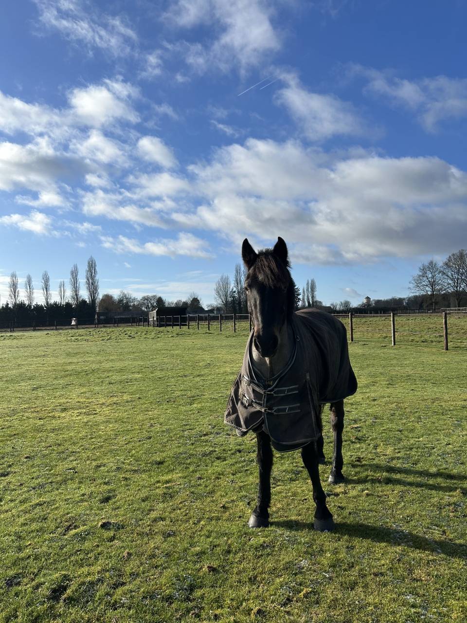 Pension pr&eacute; box et travail. 