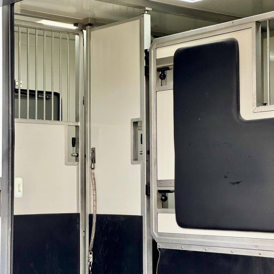 Camion chevaux Vl occasion AKX 