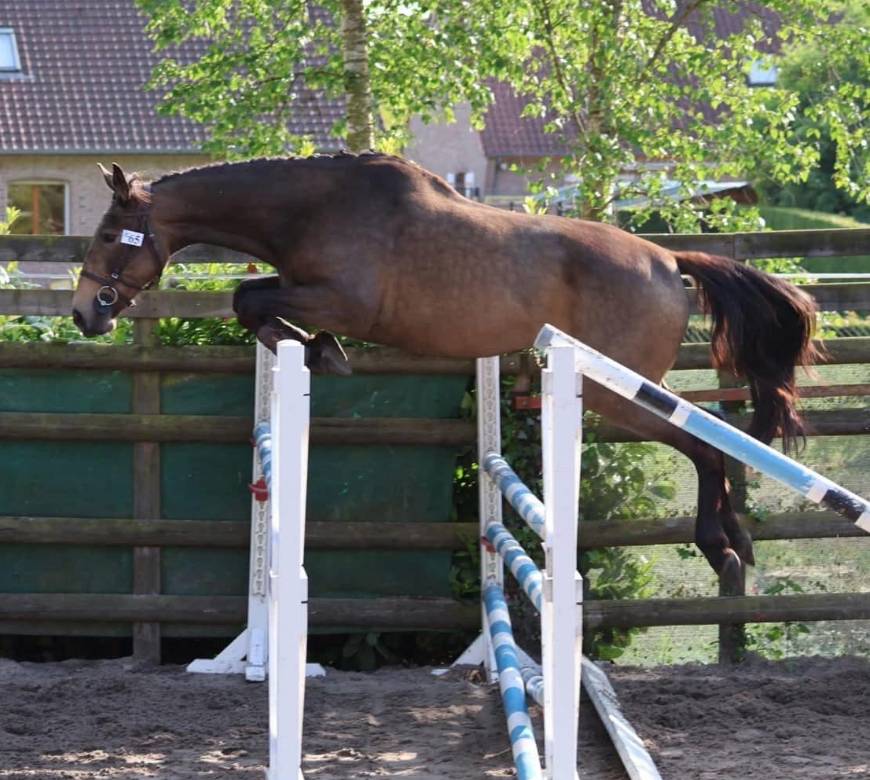 Poulini&egrave;re Isabelle 