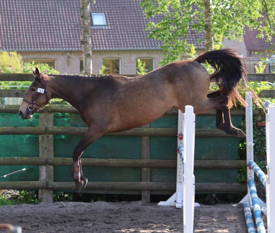 Poulini&egrave;re Isabelle 
