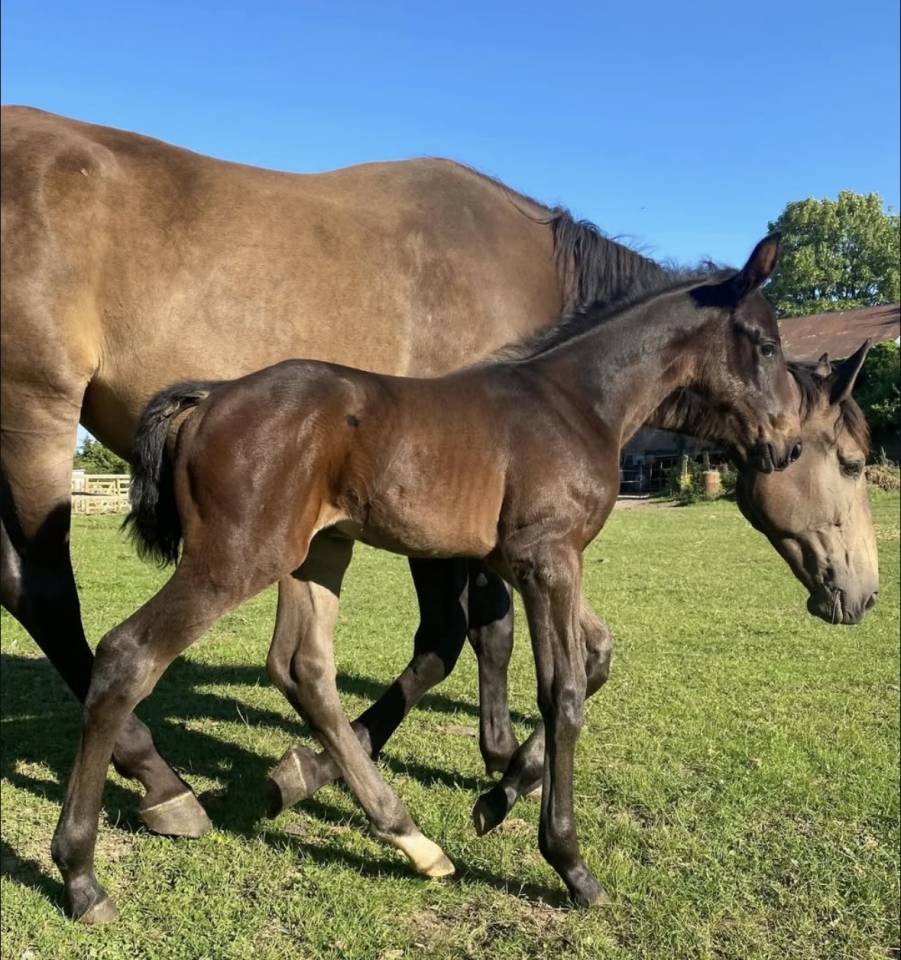 Poulini&egrave;re Isabelle 