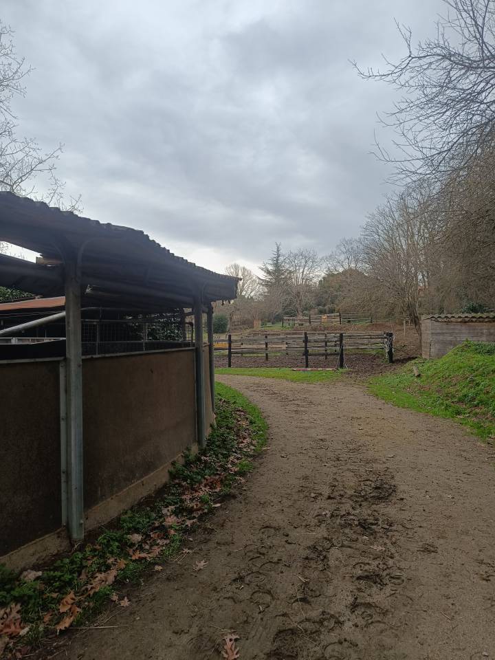 Mise &agrave; disposition de boxe
