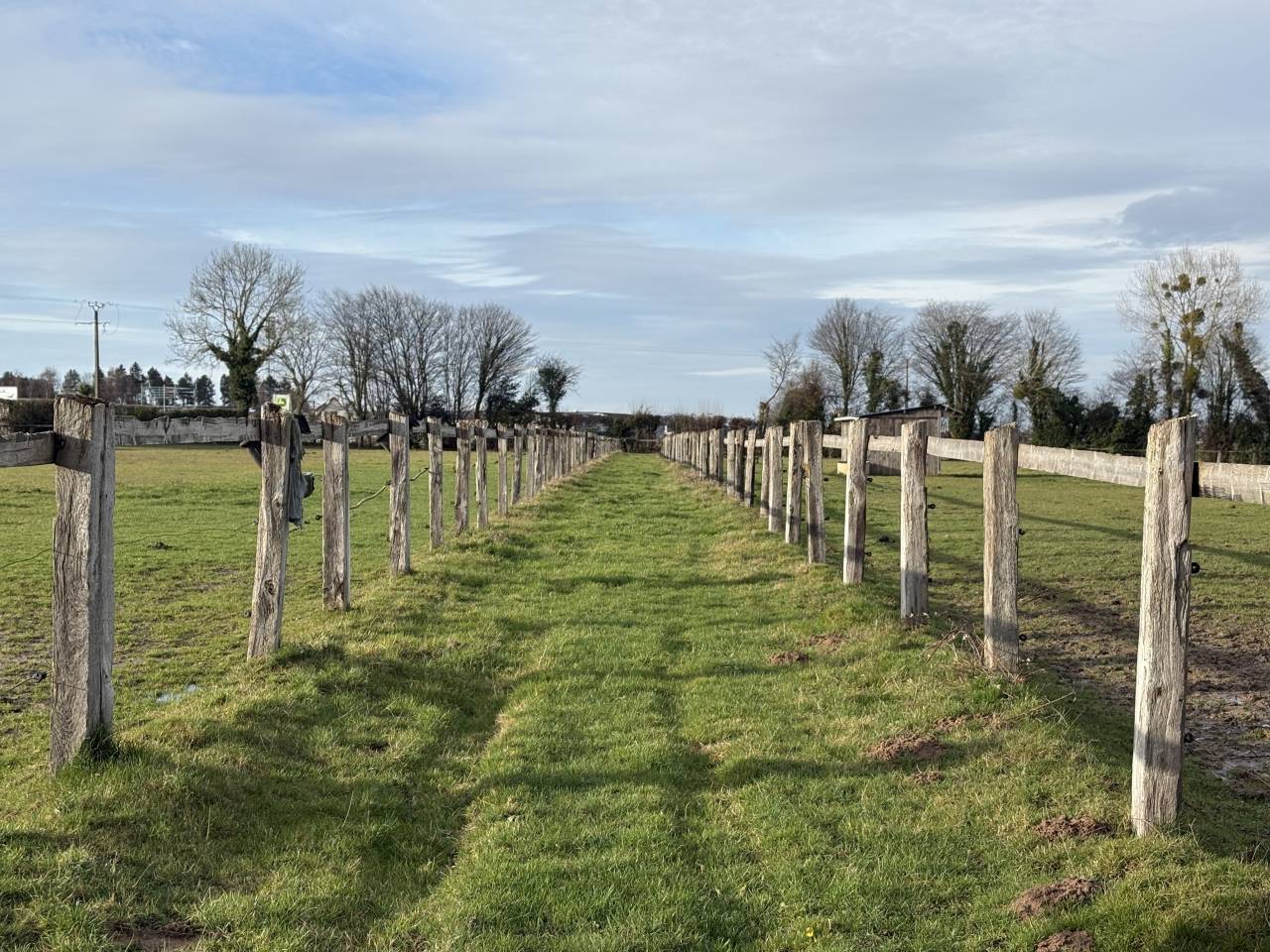 &Eacute;curie d'&eacute;levage - 8ha aux portes de Lisieux
