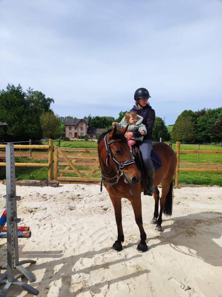 Hongre 8 ans en 2026