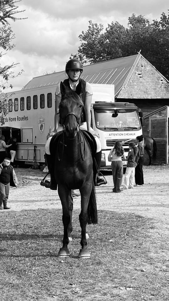 Hongre 8 ans en 2026